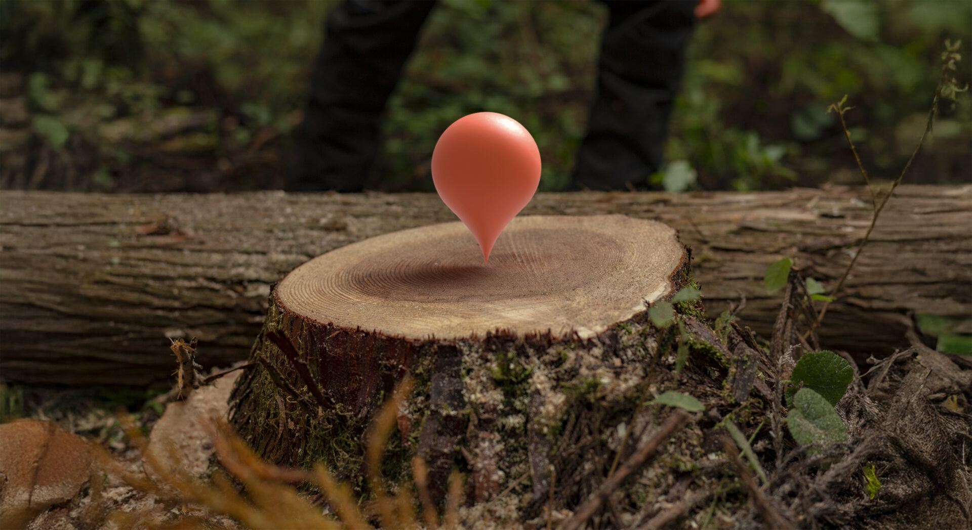 HIBA RINGs CONSORTIUM